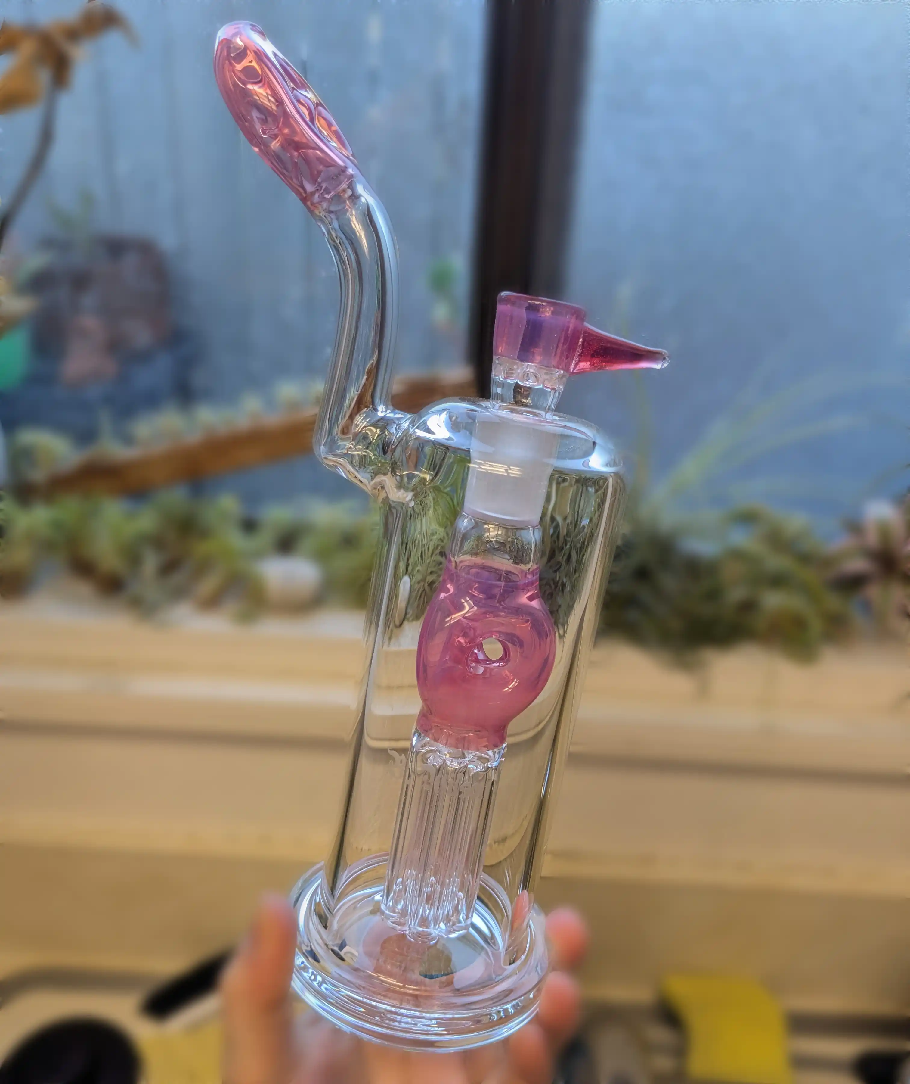 A clean Ben Wilson triple donut bubbler